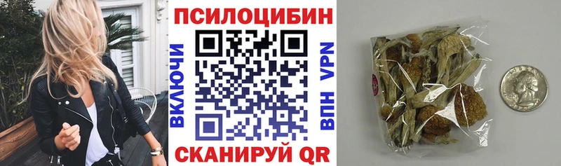 Купить  Асино  Галлюциногенные грибы GOLDEN TEACHER 